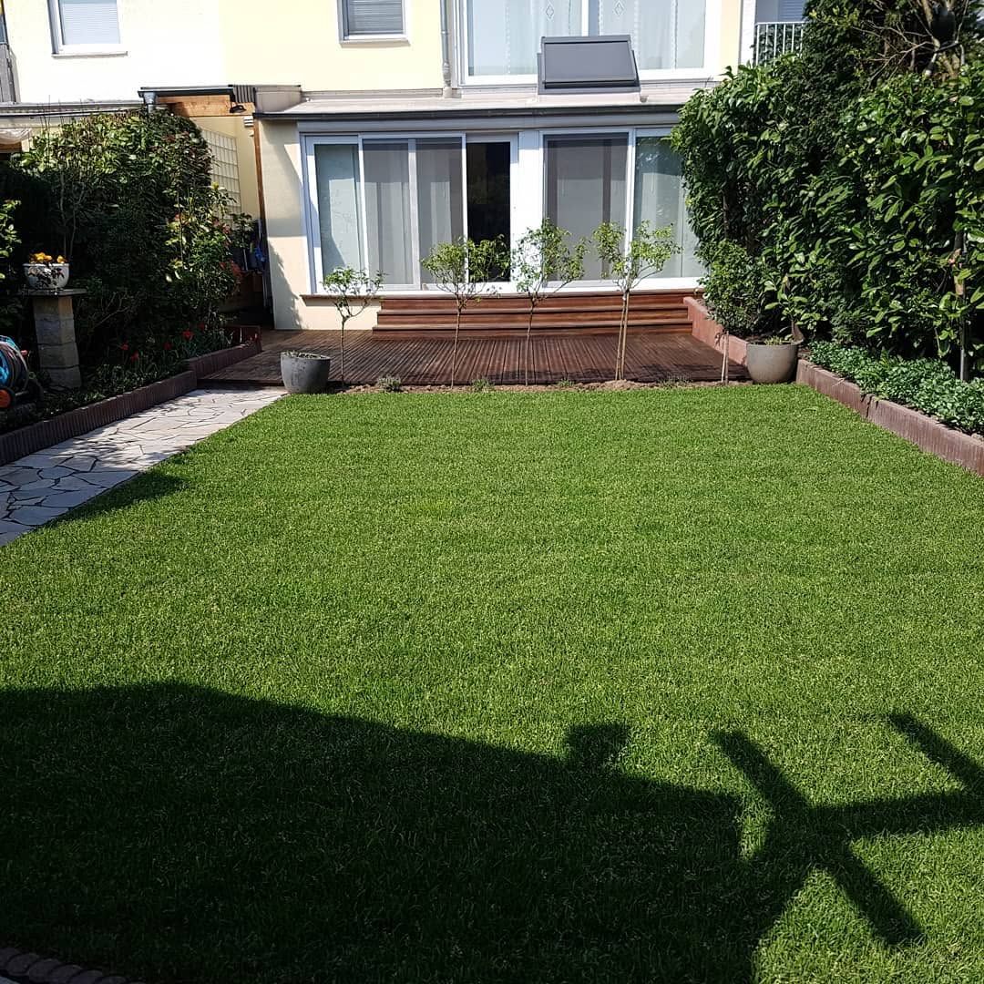 Neu angelegter Rasen mit Holzterrasse in einem gepflegten Garten
