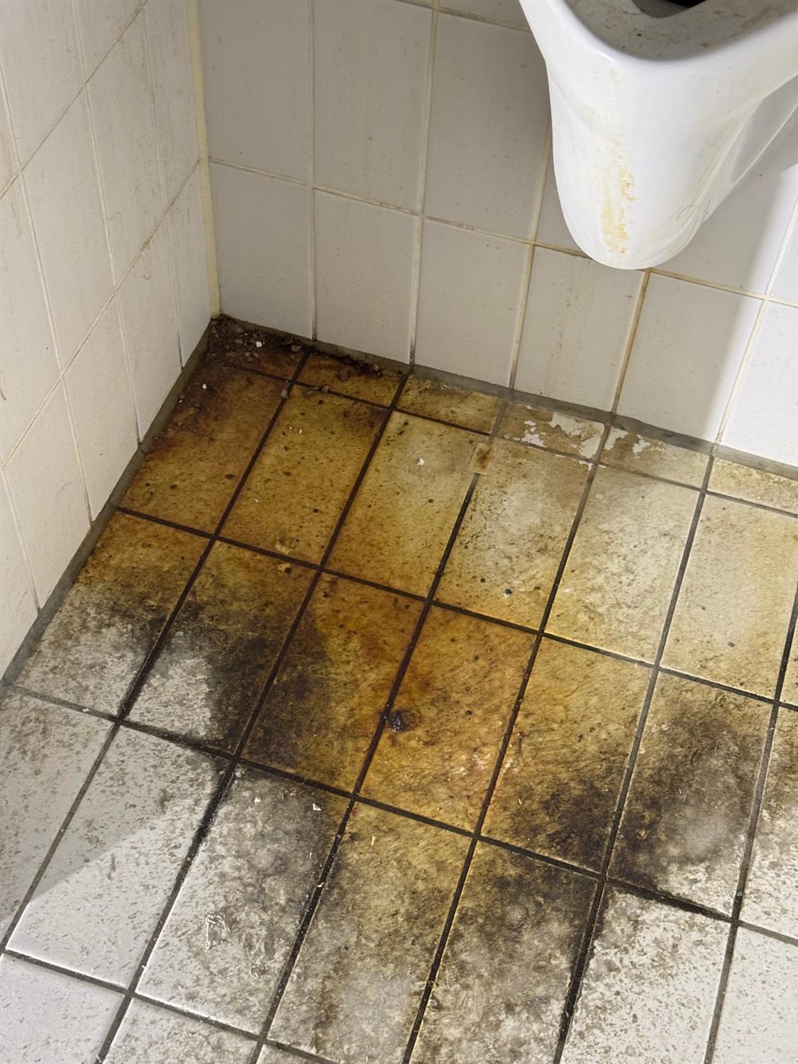 Stark verschmutzter Sanitärbereich vor der Reinigung