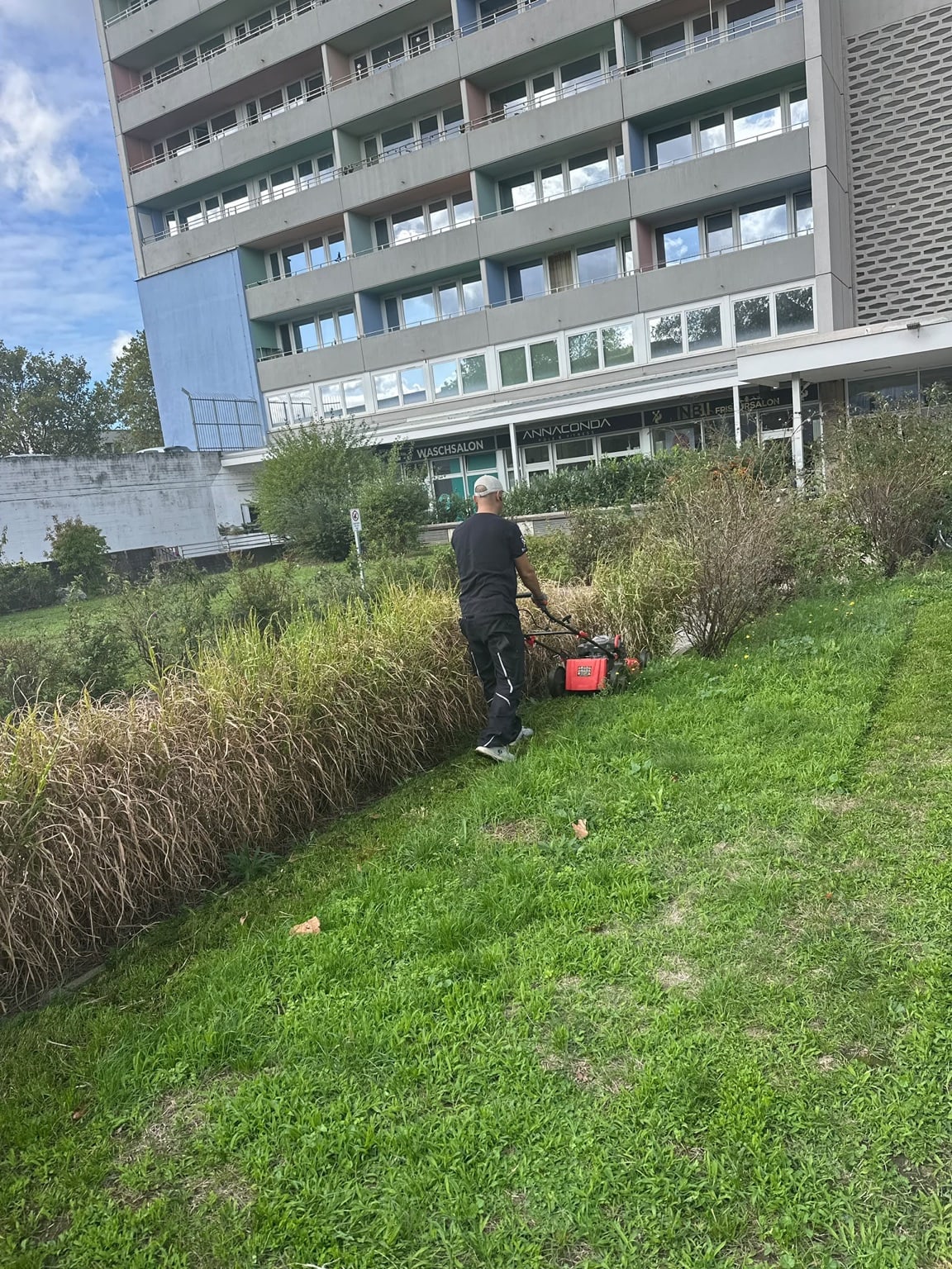 Stieglitz-Mitarbeiter mäht die Rasenfläche vor einem Hochhaus